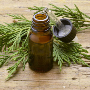 Cypress Essential Oil