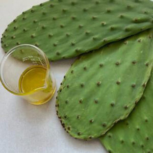 prickly-pear-essential-oil