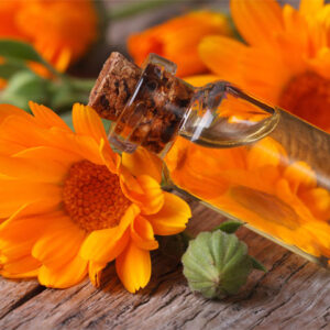 Calendula-essential-oil