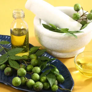 neem-seed-oil