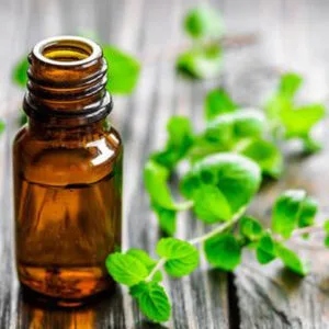 spearmint-oil