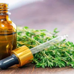 thyme-essential-oil