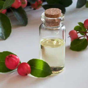 wintergreen-oil